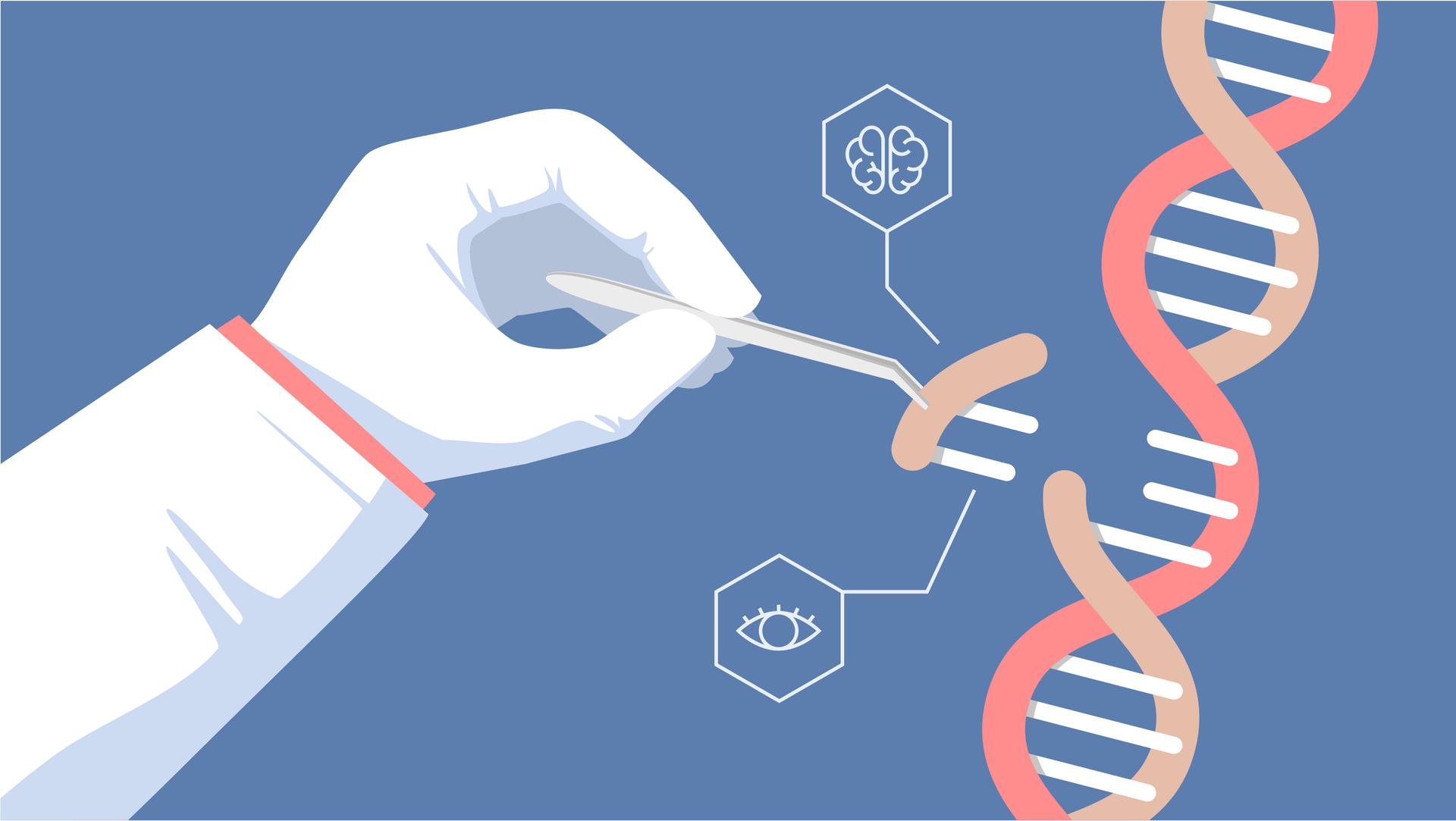 Mit einer Pinzette wird die DNA-Kette durchbrochen